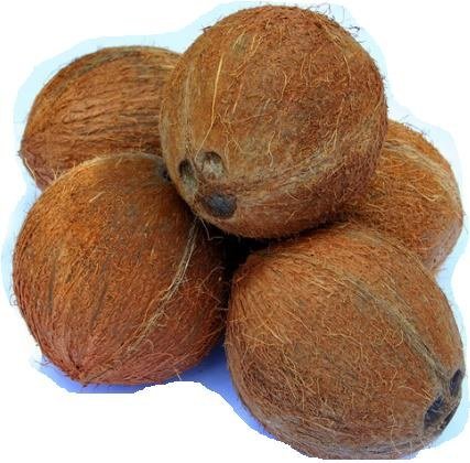 Fresh Husked Coconut