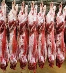 Halal Goat, Mutton & Sheep Meat