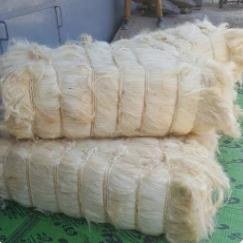 Sisal fibre