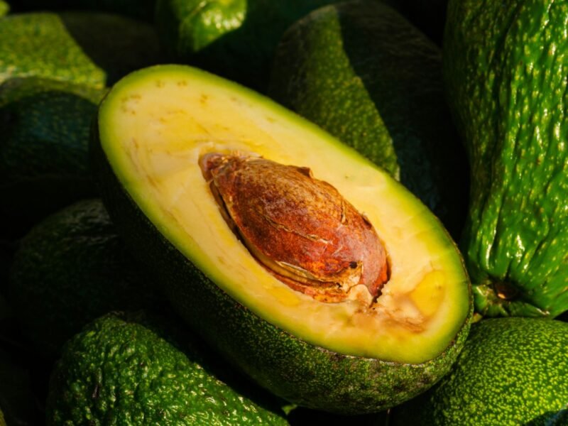 Fresh Avocado — export product from Tanzania by SALSA