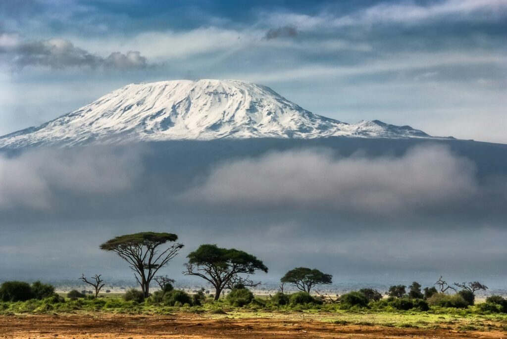 Tanzanian farmland