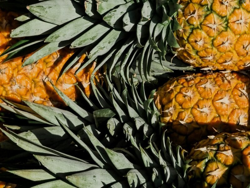 MD2 Pineapples — export product from Tanzania by SALSA