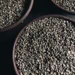 Robusta Coffee Beans — export product from Tanzania by SALSA