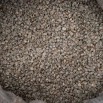 Arabica Green Coffee Beans — export product from Tanzania by SALSA